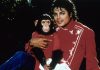 ljubimci, Michael Jackson, Bubbles