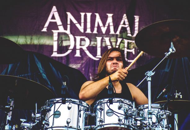 Animal Drive, foto: Vedrana Dobrić
