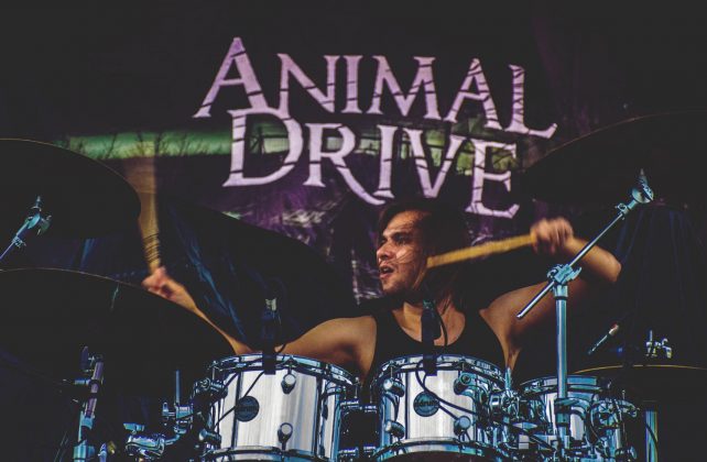 Animal Drive, foto: Vedrana Dobrić