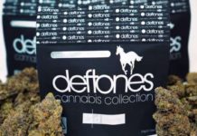 deftones marijuana
