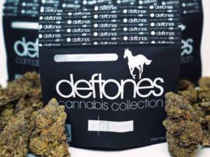 deftones marijuana